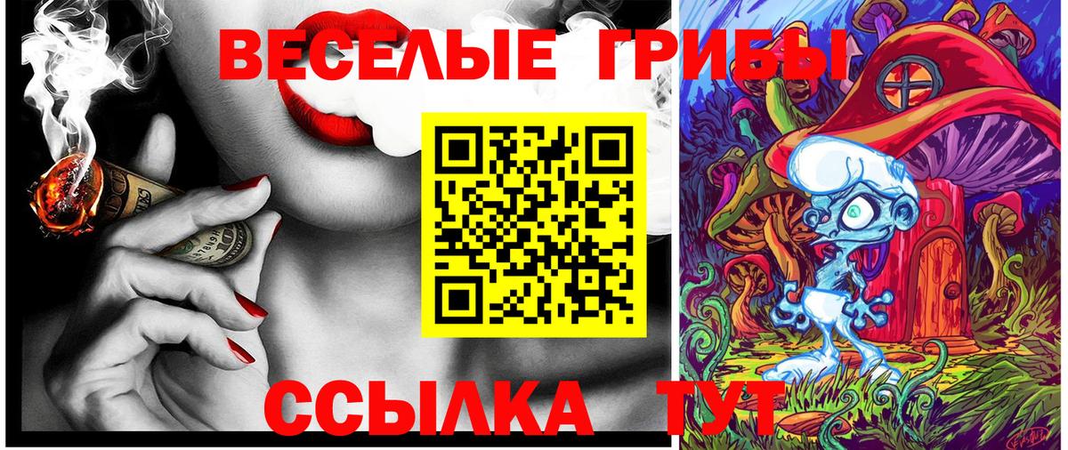 Псилоцибиновые грибы Psilocybine cubensis Трёхгорный