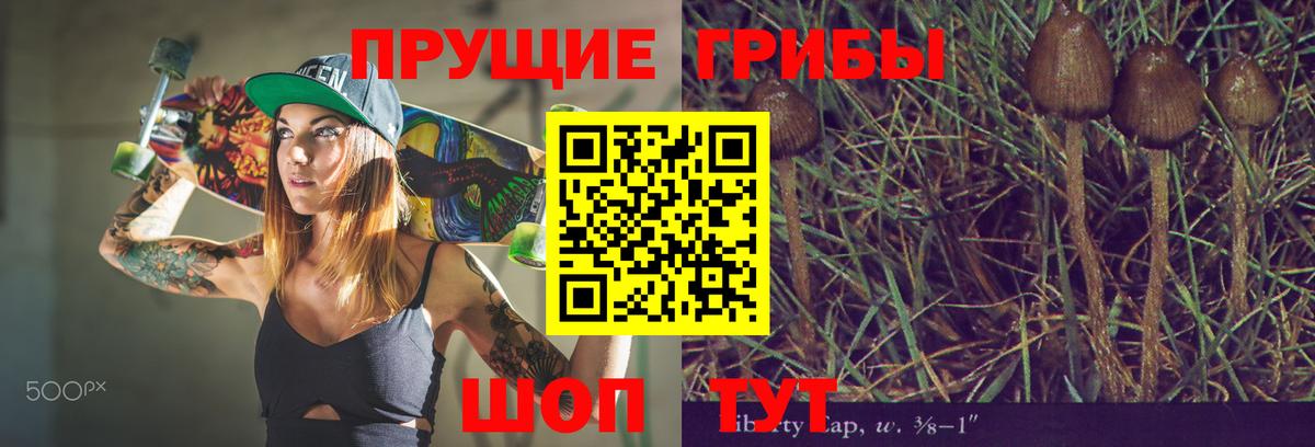 Псилоцибиновые грибы Magic Shrooms  как найти   Псилоцибиновые грибы мицелий  Трёхгорный  Вход с VPN 
